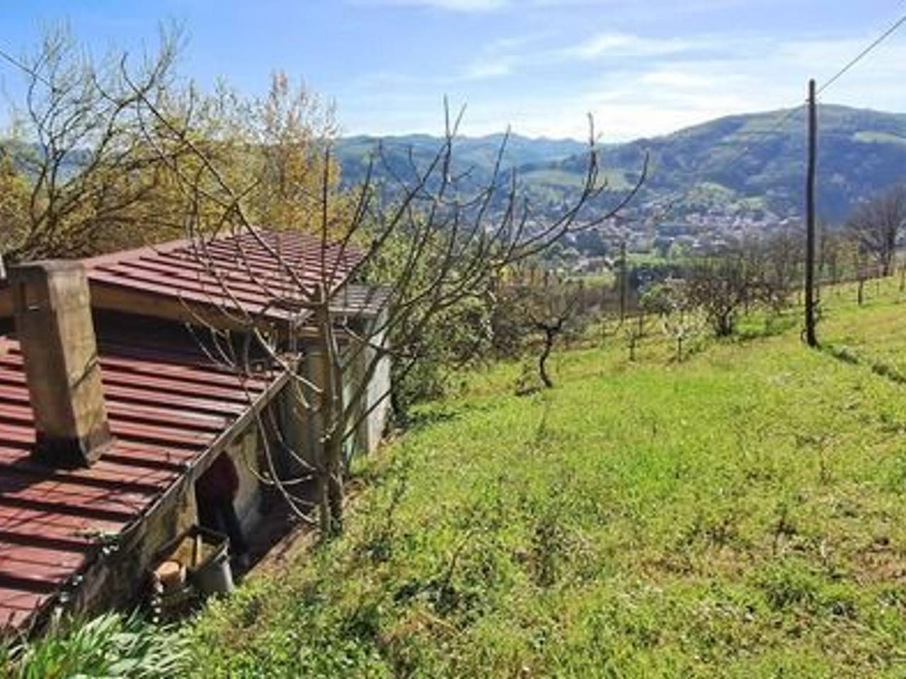 immagine annuncio 1 di 10