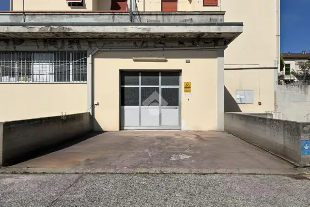 insertion image