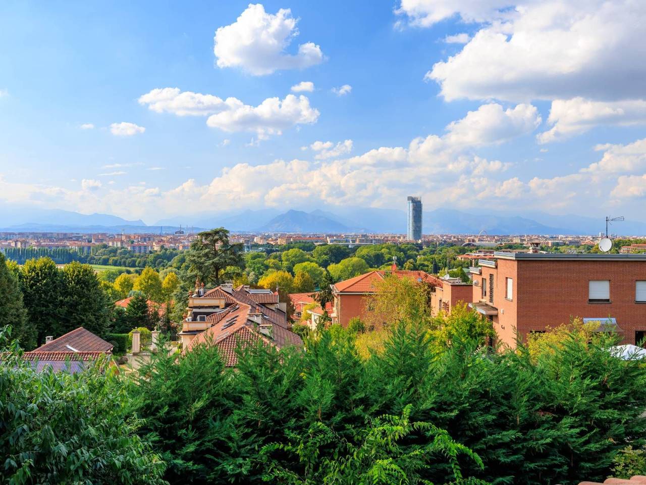 immagine annuncio 3 di 15
