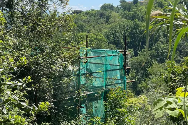 Rustico in vendita, Camogli - Foto 1