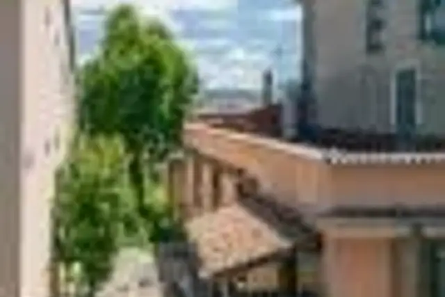 insertion image