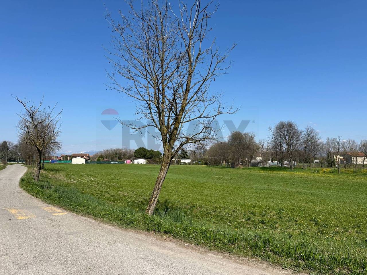 immagine annuncio 7 di 12