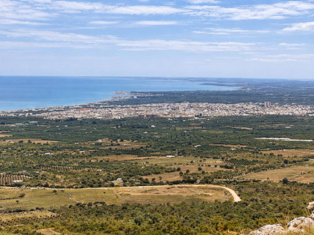 immagine annuncio 5 di 6