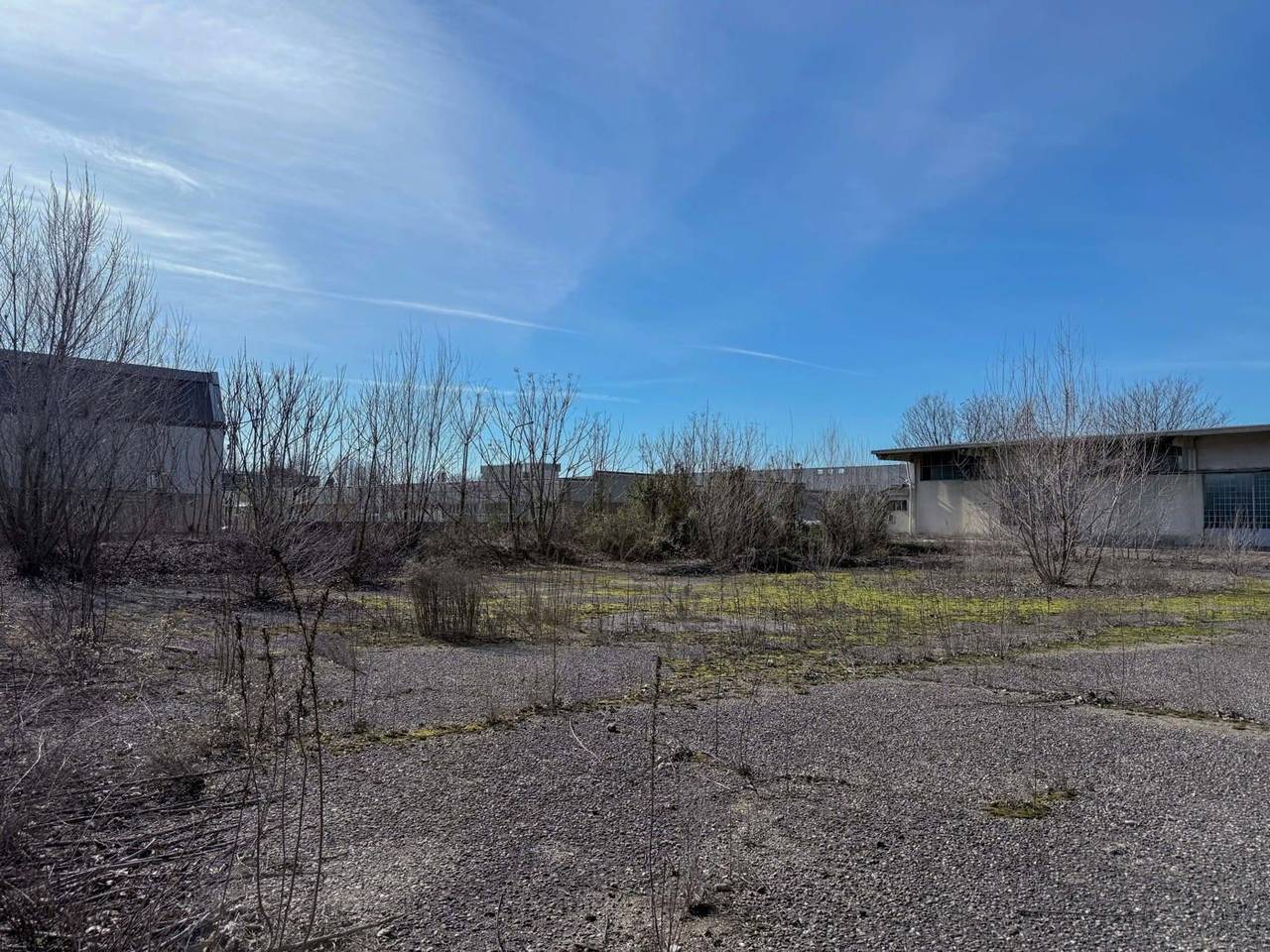 immagine annuncio 3 di 11