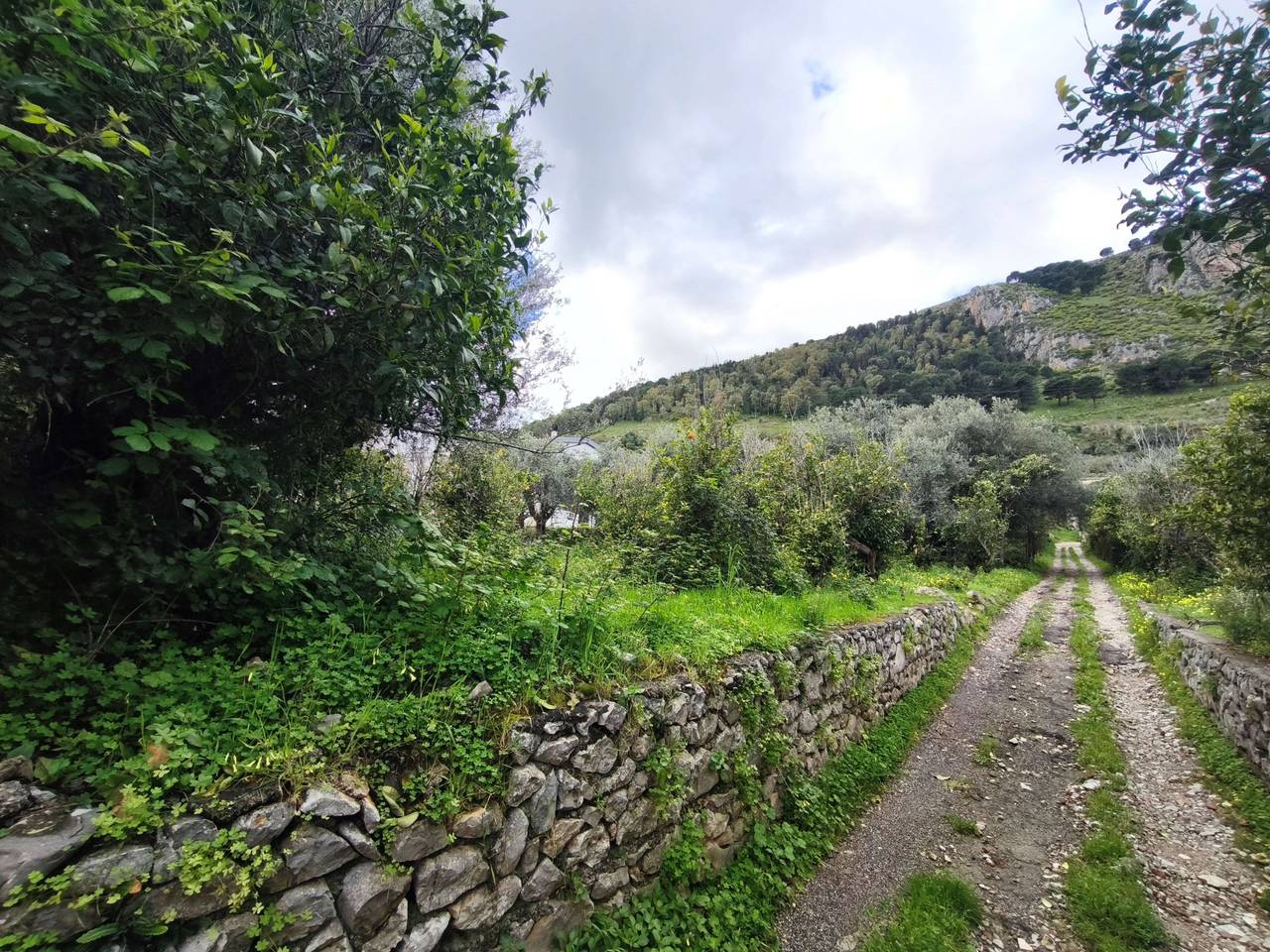 immagine annuncio 5 di 6