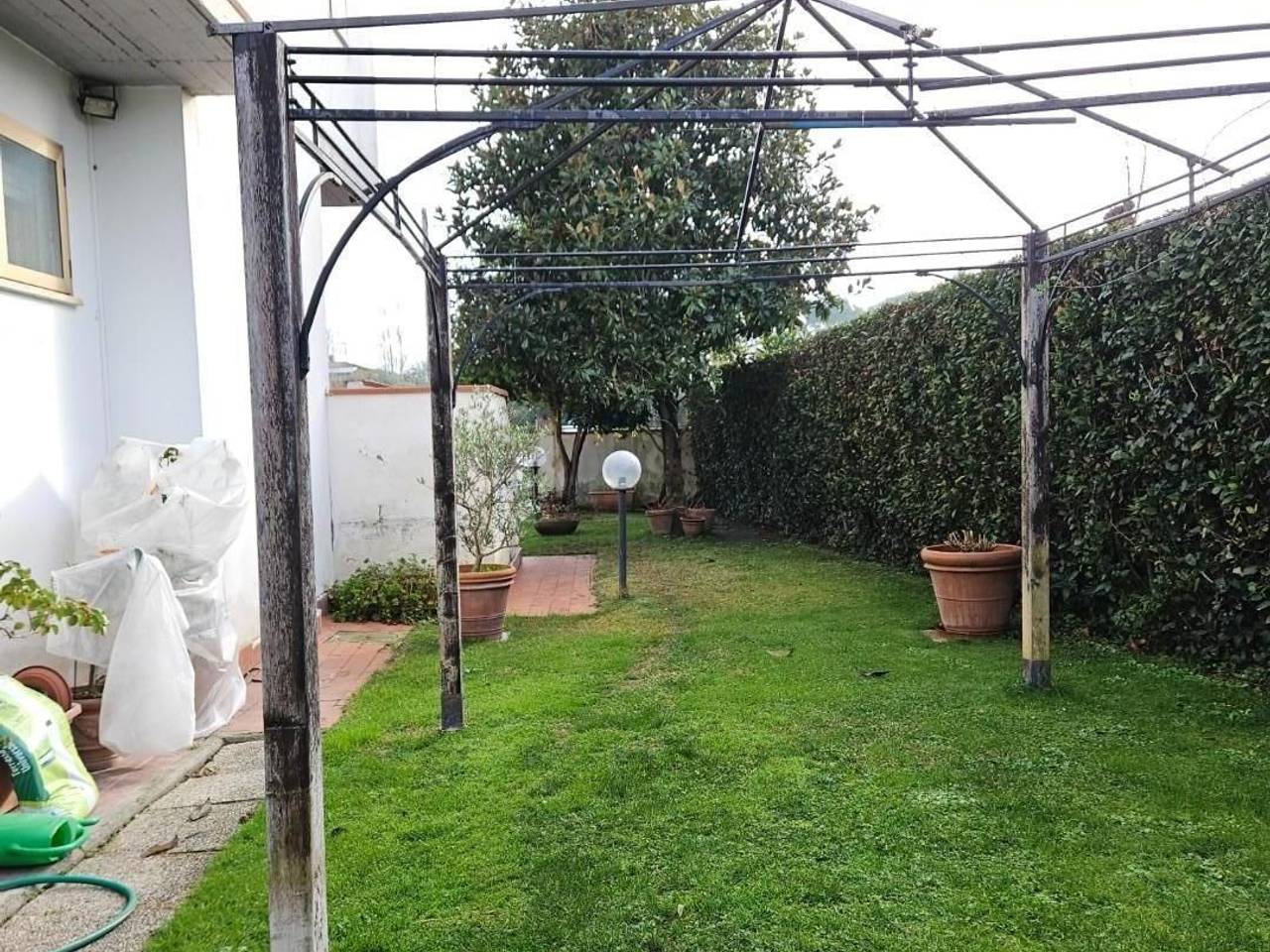 immagine annuncio 10 di 14