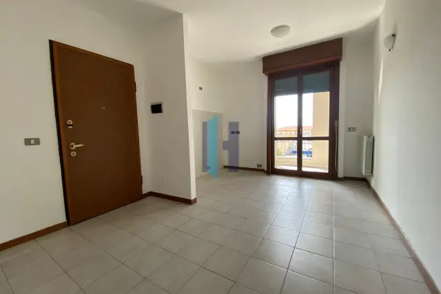 insertion image