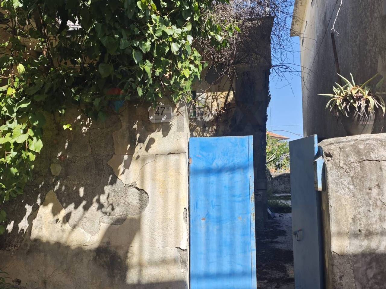 immagine annuncio 13 di 14