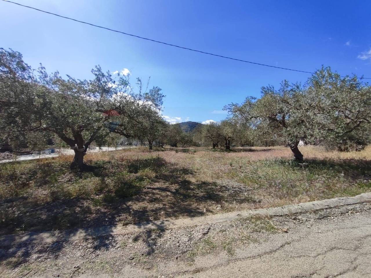 immagine annuncio 3 di 7