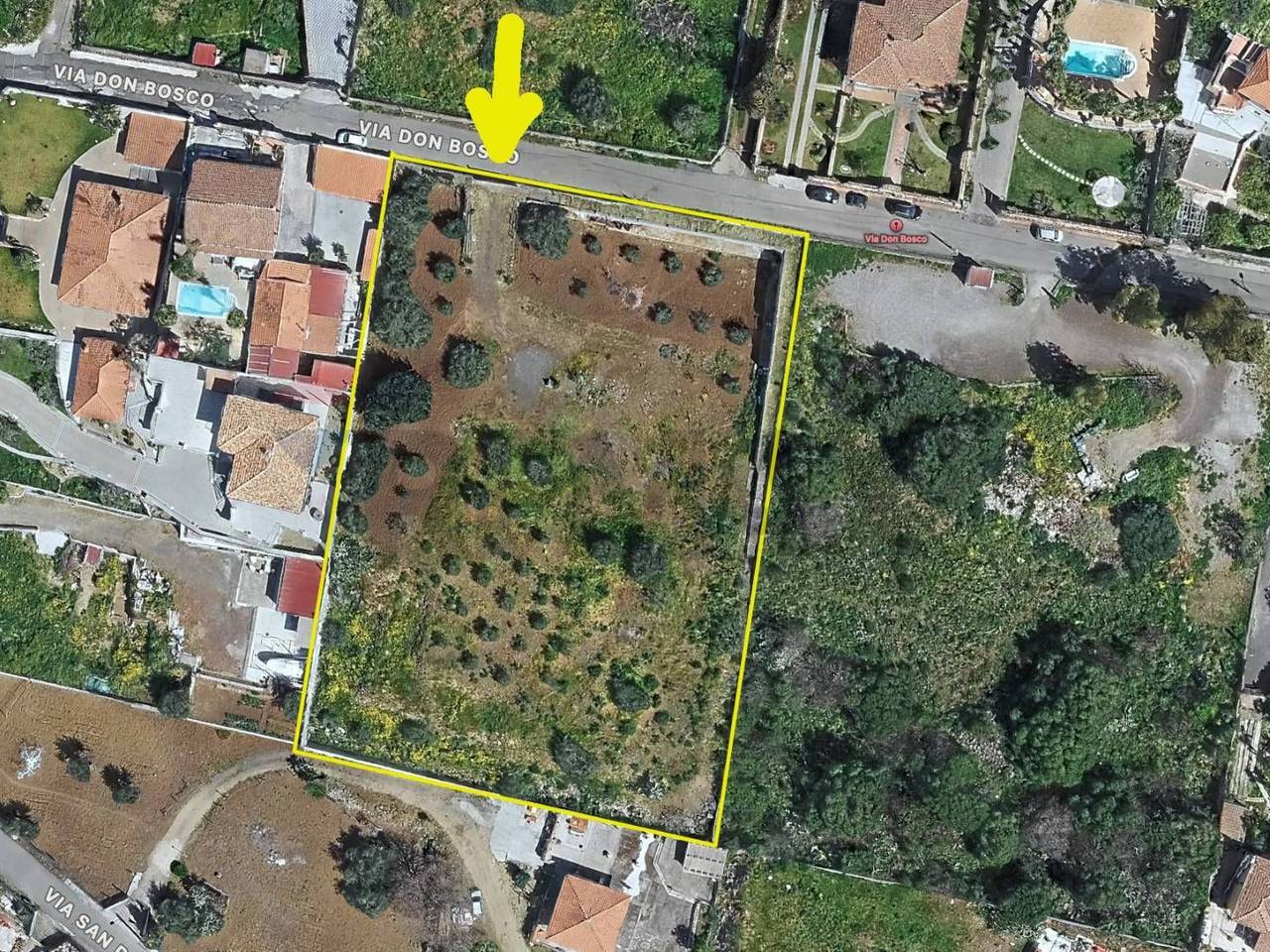 immagine annuncio 1 di 15