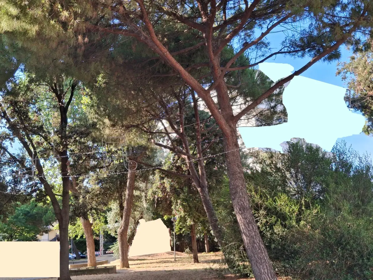 Negozio in Viale Rapallo, Rimini, {3} - Foto 1