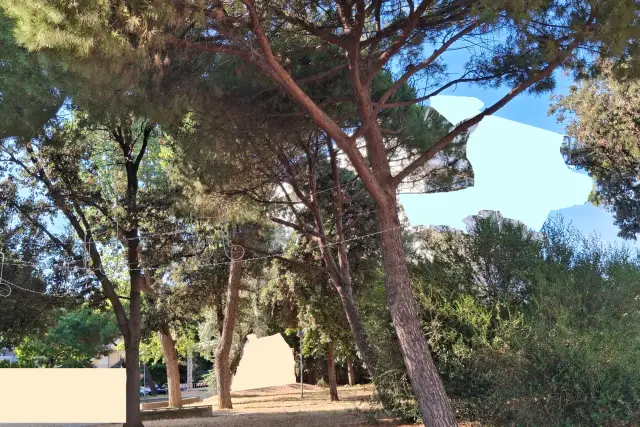 insertion image