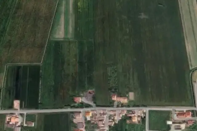 insertion image