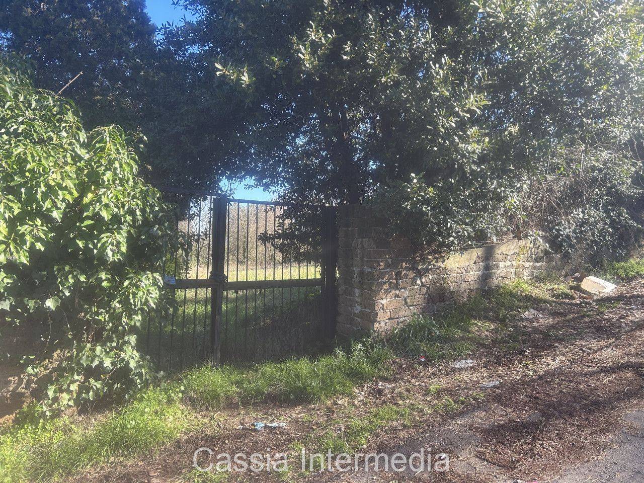 immagine annuncio 3 di 14