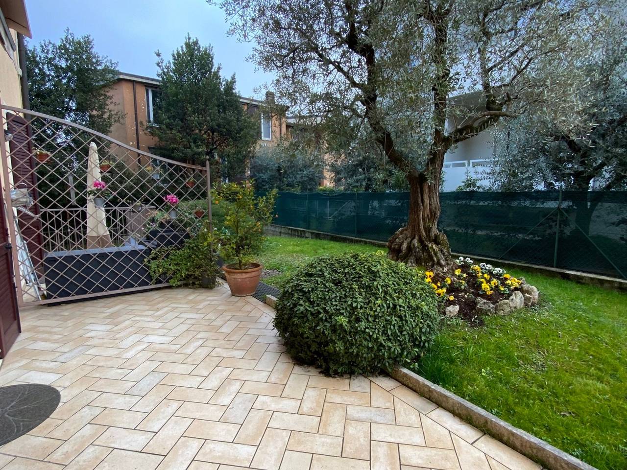 immagine annuncio 1 di 11