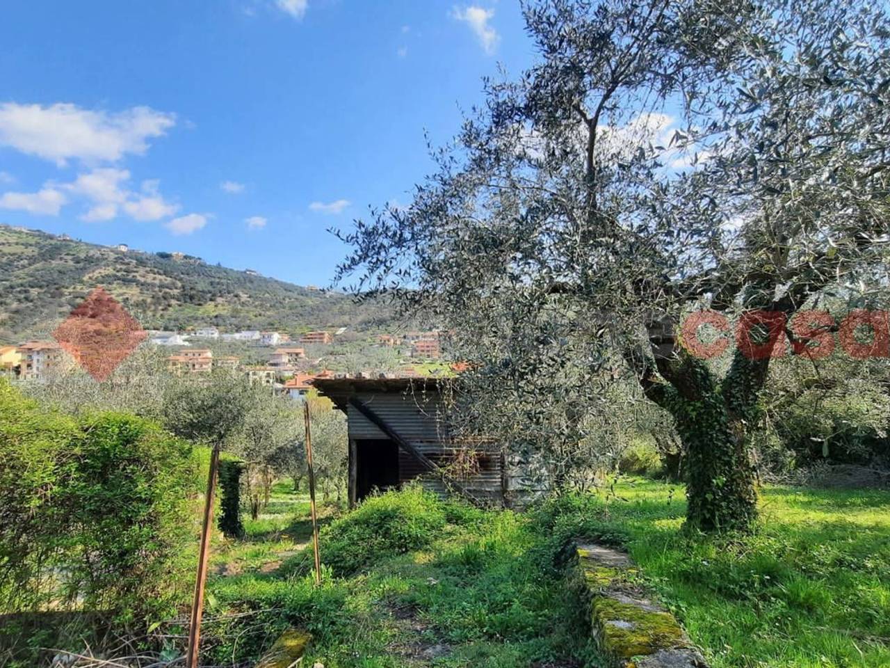 immagine annuncio 4 di 7