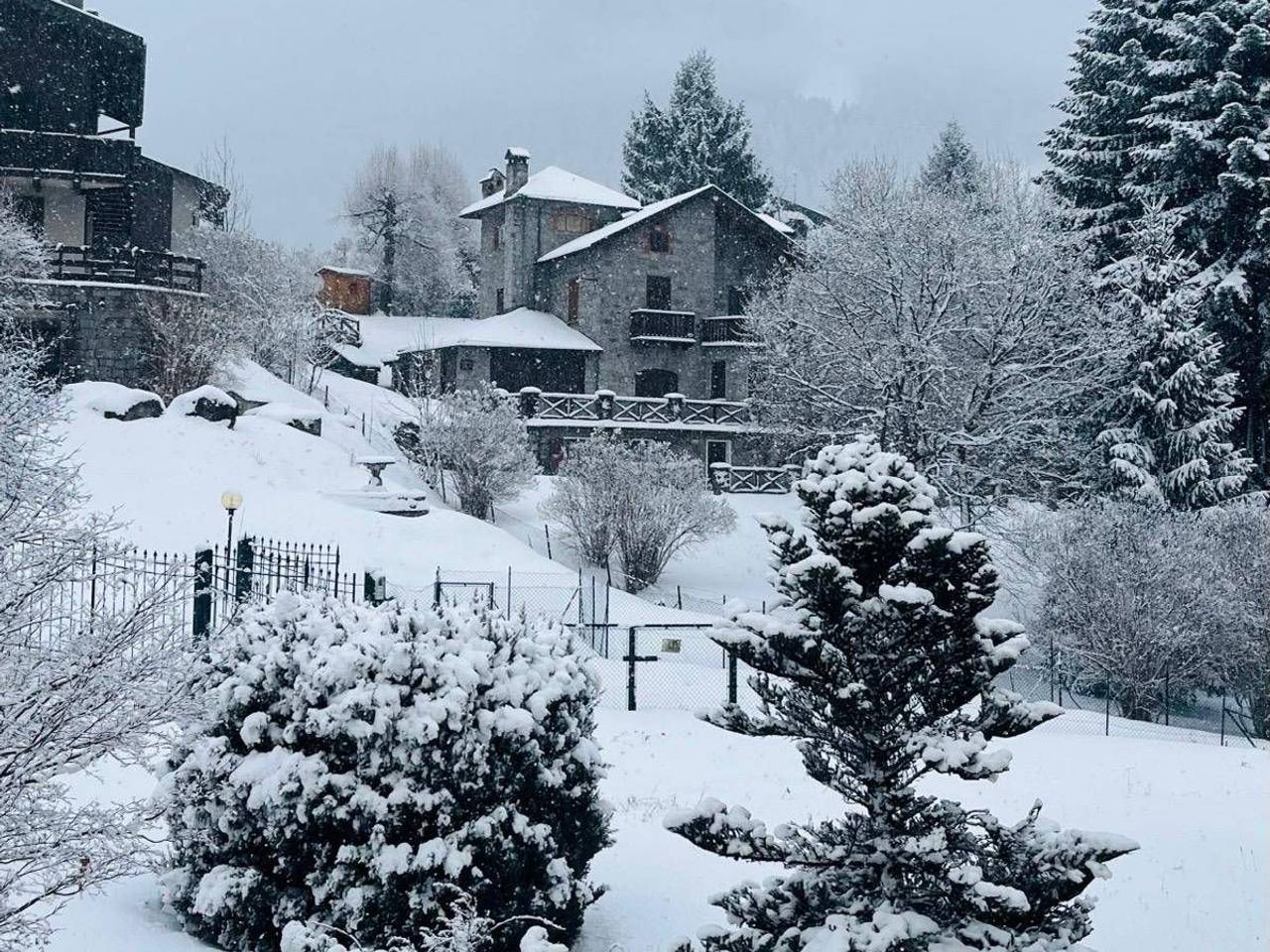 immagine annuncio 4 di 13