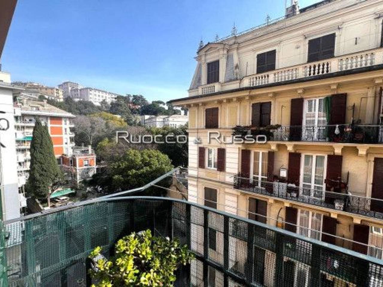 immagine annuncio 3 di 14