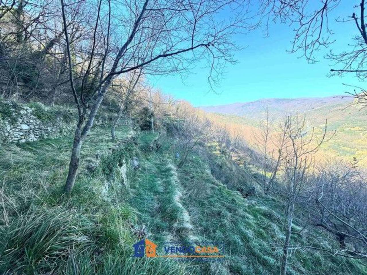 immagine annuncio 4 di 7