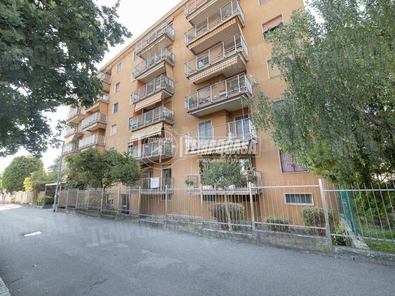 immagine annuncio 4 di 14