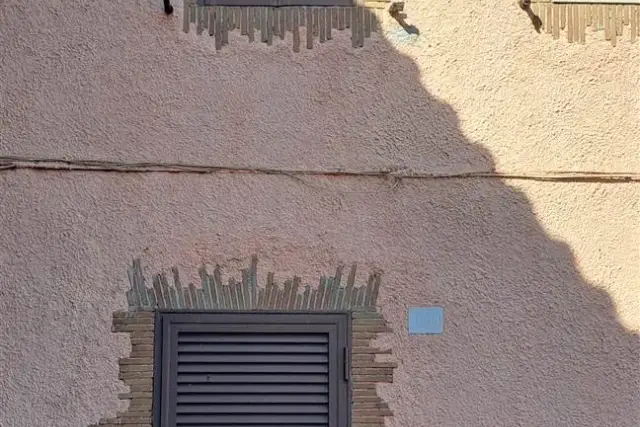 insertion image