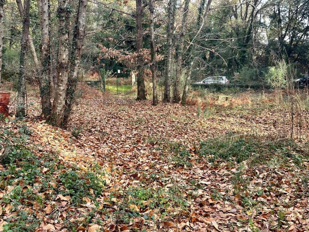 immagine annuncio 5 di 13