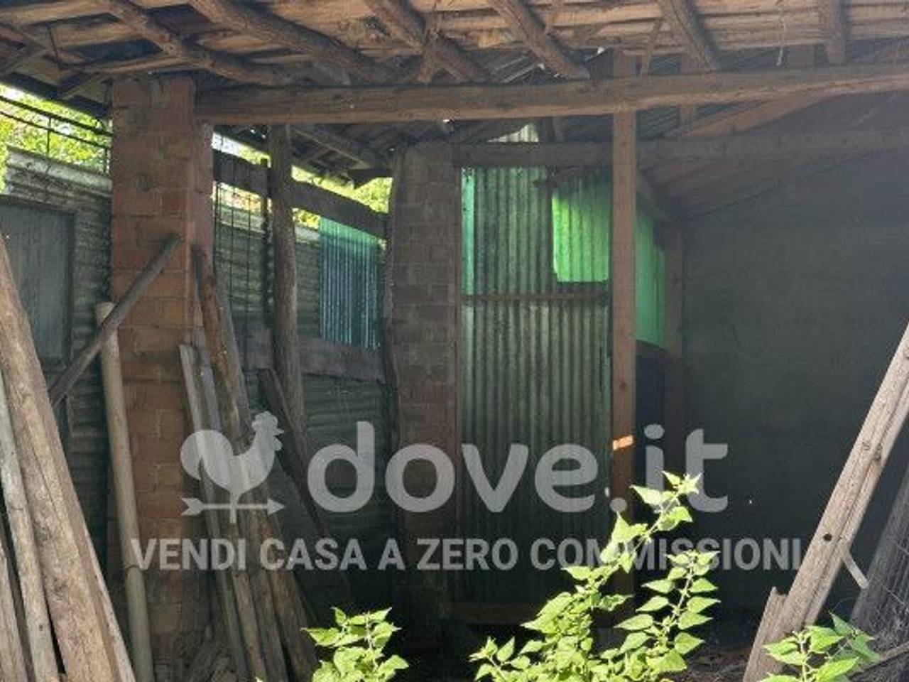 immagine annuncio 4 di 8