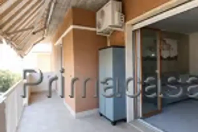 insertion image