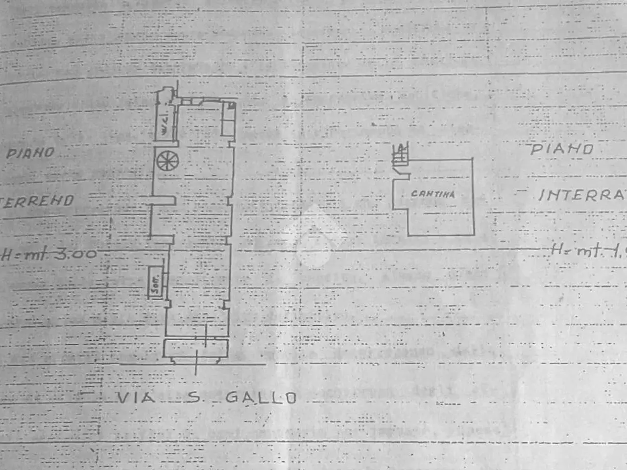Negozio in Via S. Gallo, Firenze, {3} - Planimetria 1