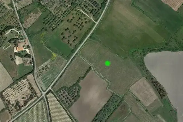 insertion image