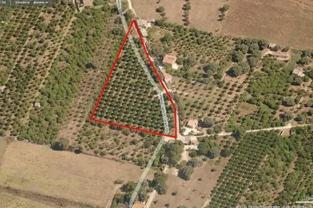 Terreno agricolo in Contrada Carancino, Siracusa - Foto 1