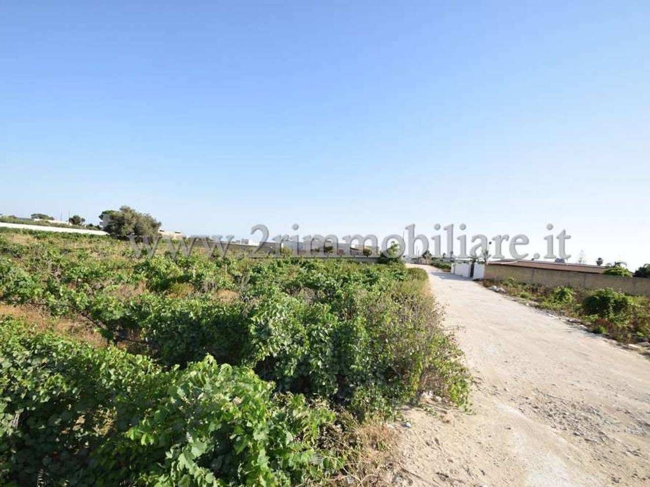 immagine annuncio 3 di 8