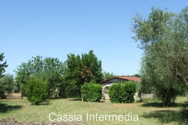 insertion image