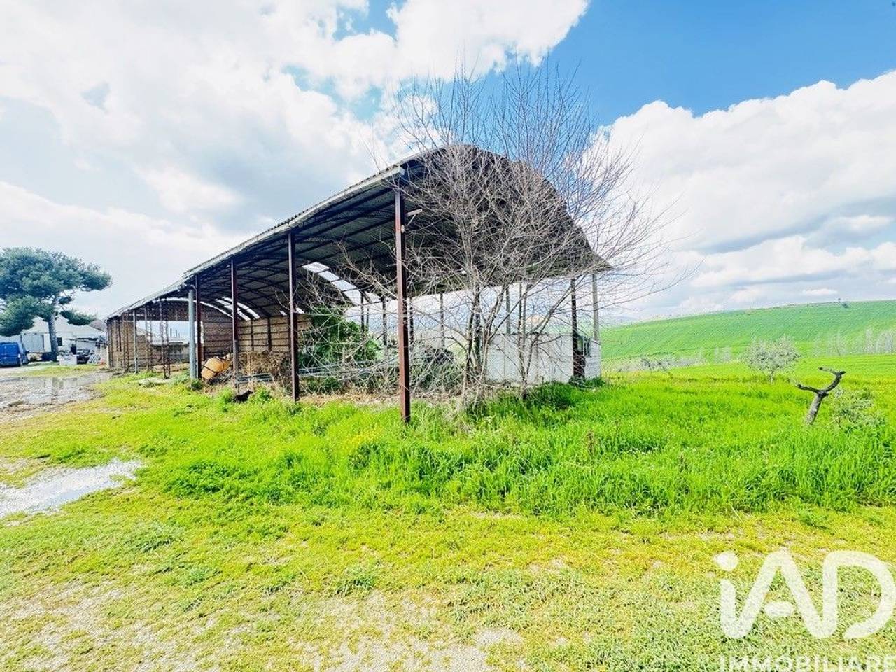 immagine annuncio 10 di 15