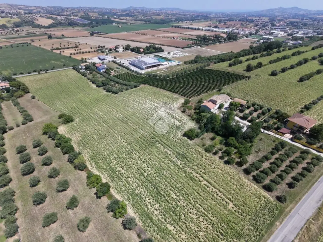 Palazzina commerciale in Via Capo di Fuori 174, Sant'Omero, {3} - Foto 2