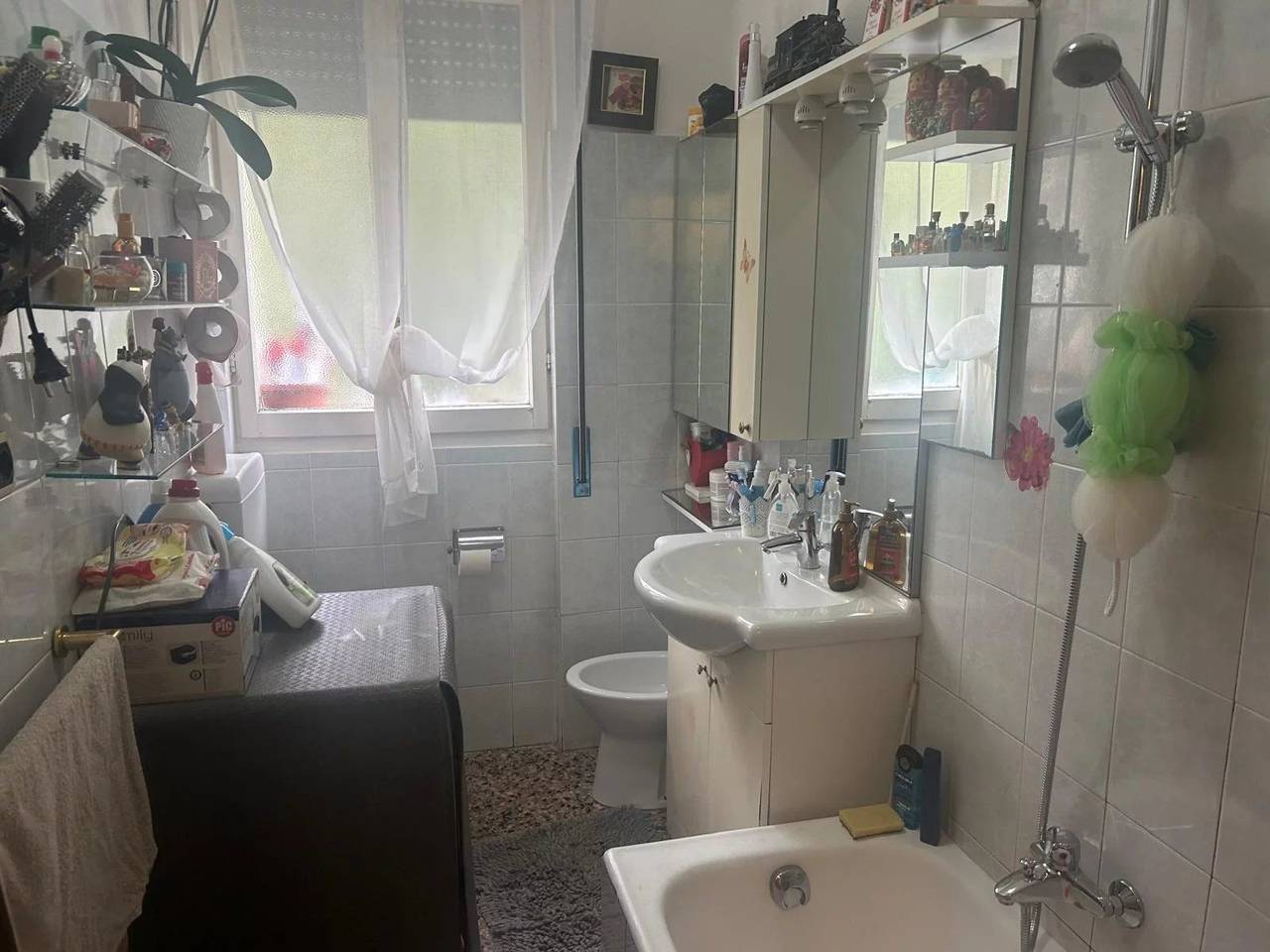 immagine annuncio 7 di 8