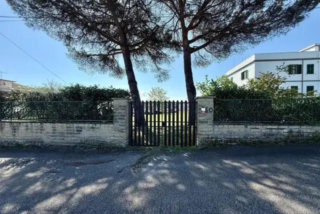 insertion image