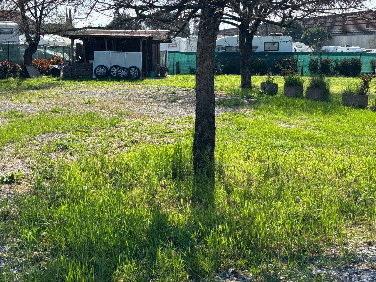 immagine annuncio 6 di 13