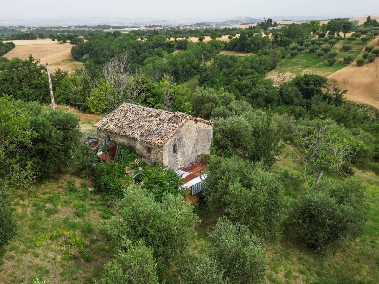 immagine annuncio 7 di 15