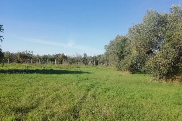 Terreno agricolo in Via Malcavallo, Lanuvio - Foto 1