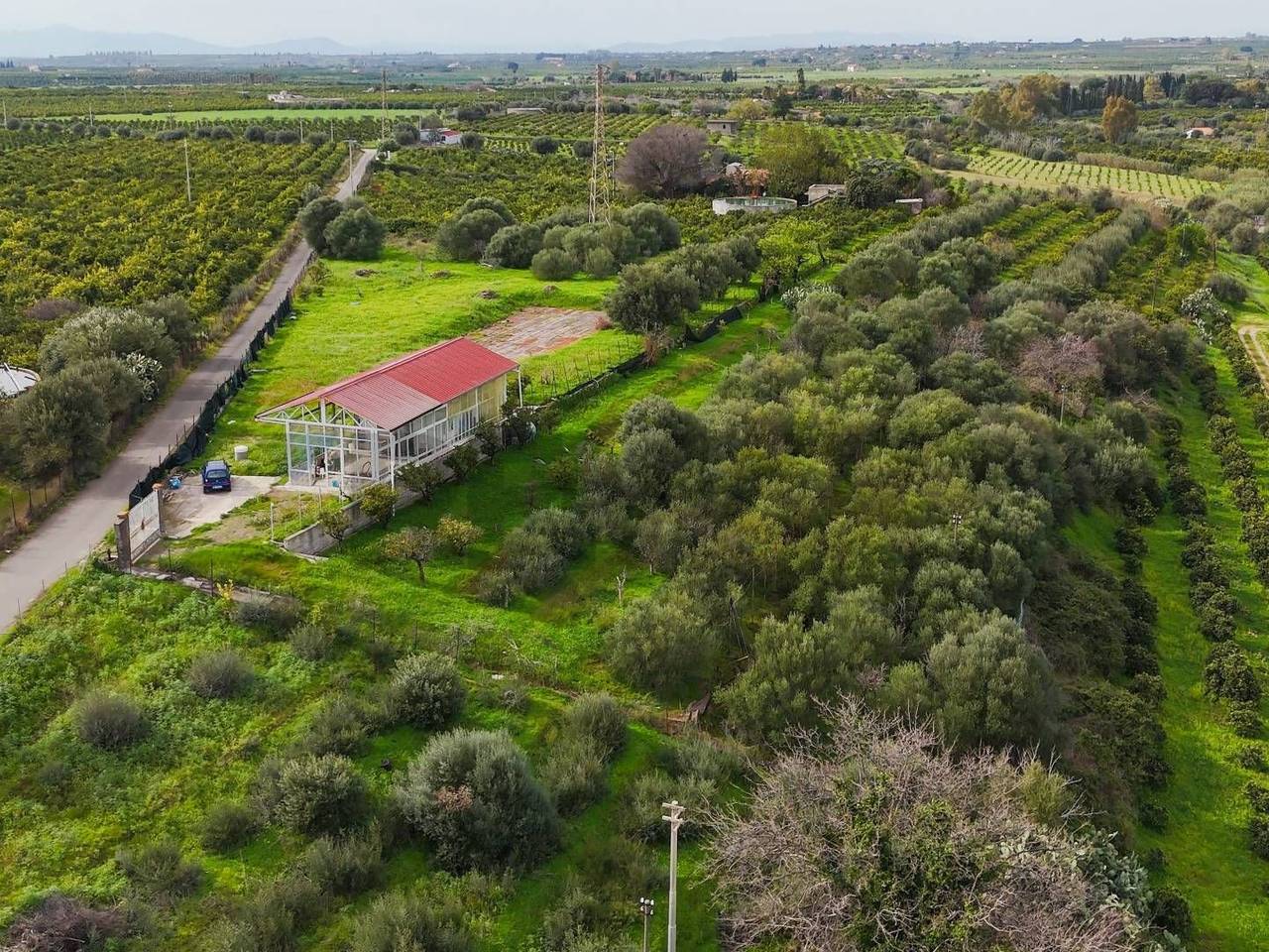 immagine annuncio 12 di 15