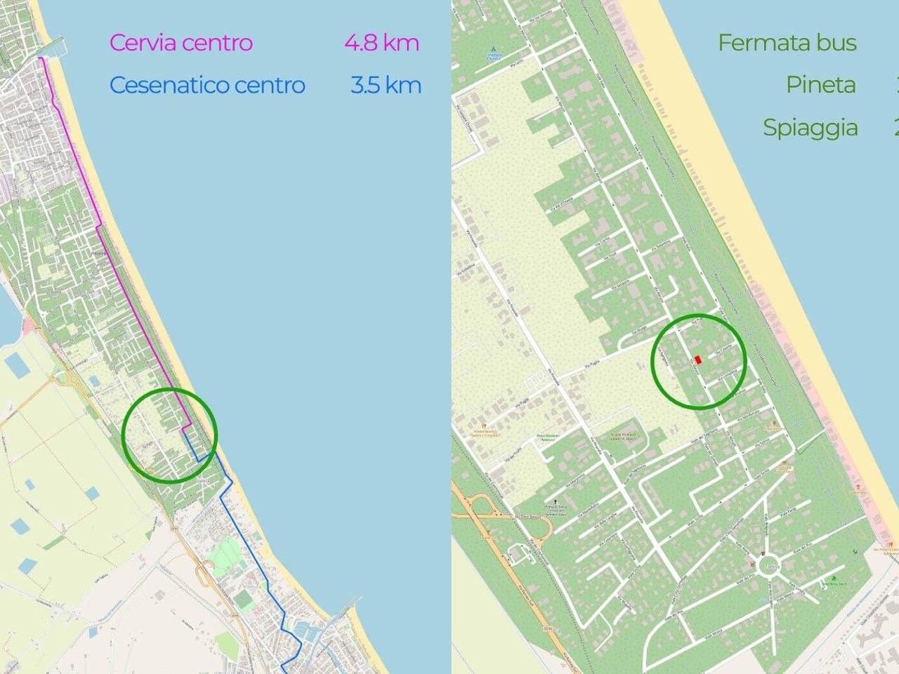 immagine annuncio 3 di 13