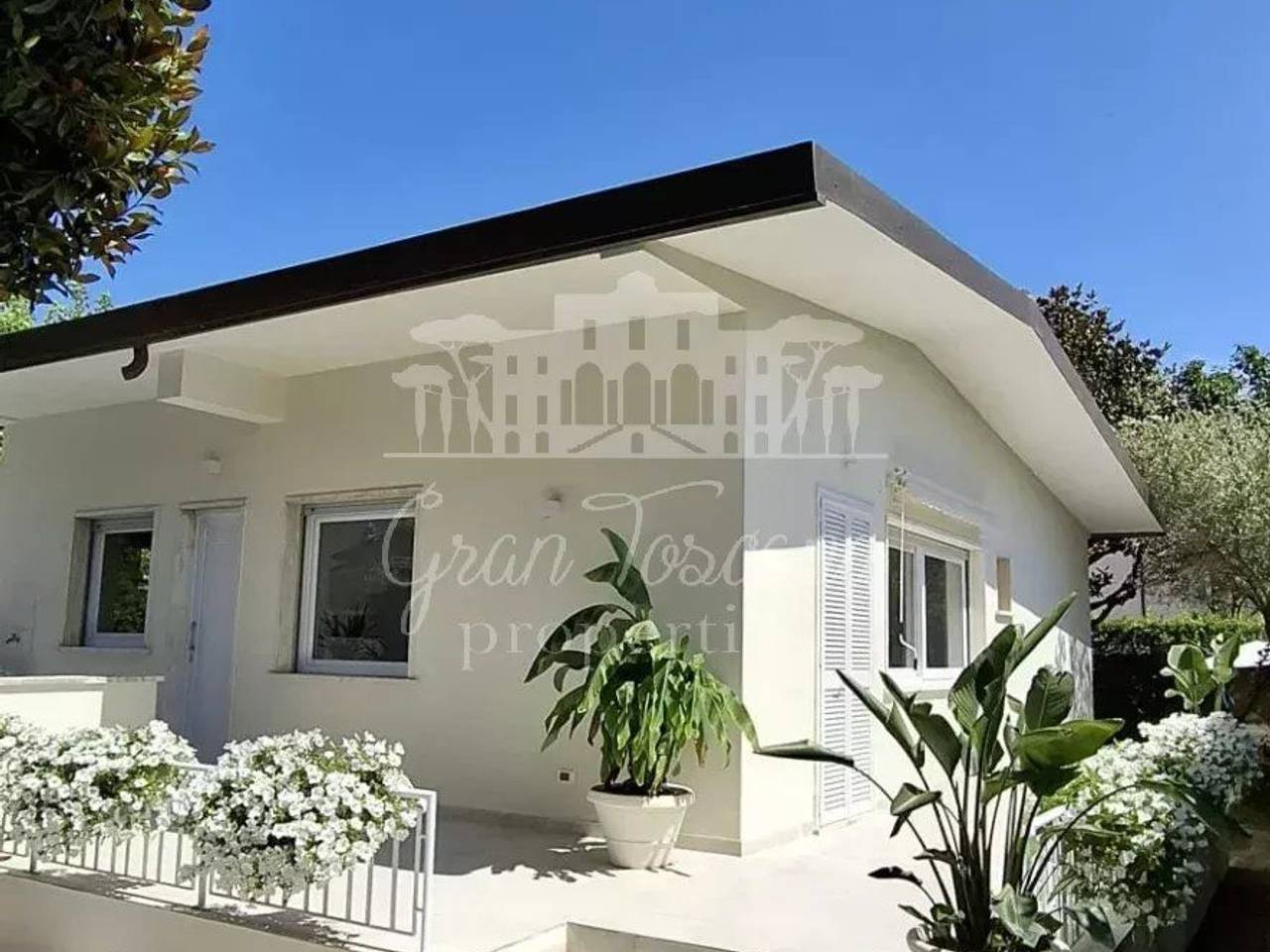 immagine annuncio 1 di 8