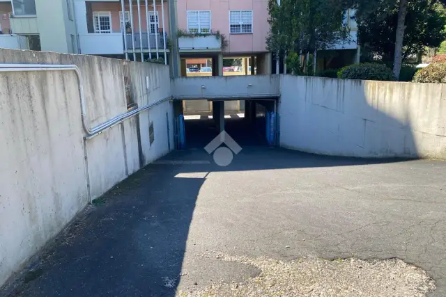 insertion image