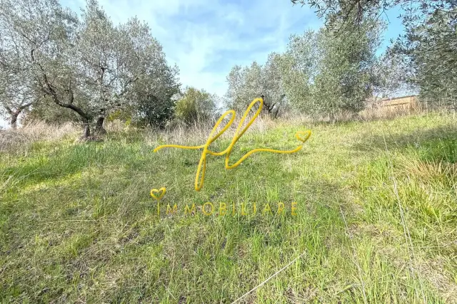 insertion image