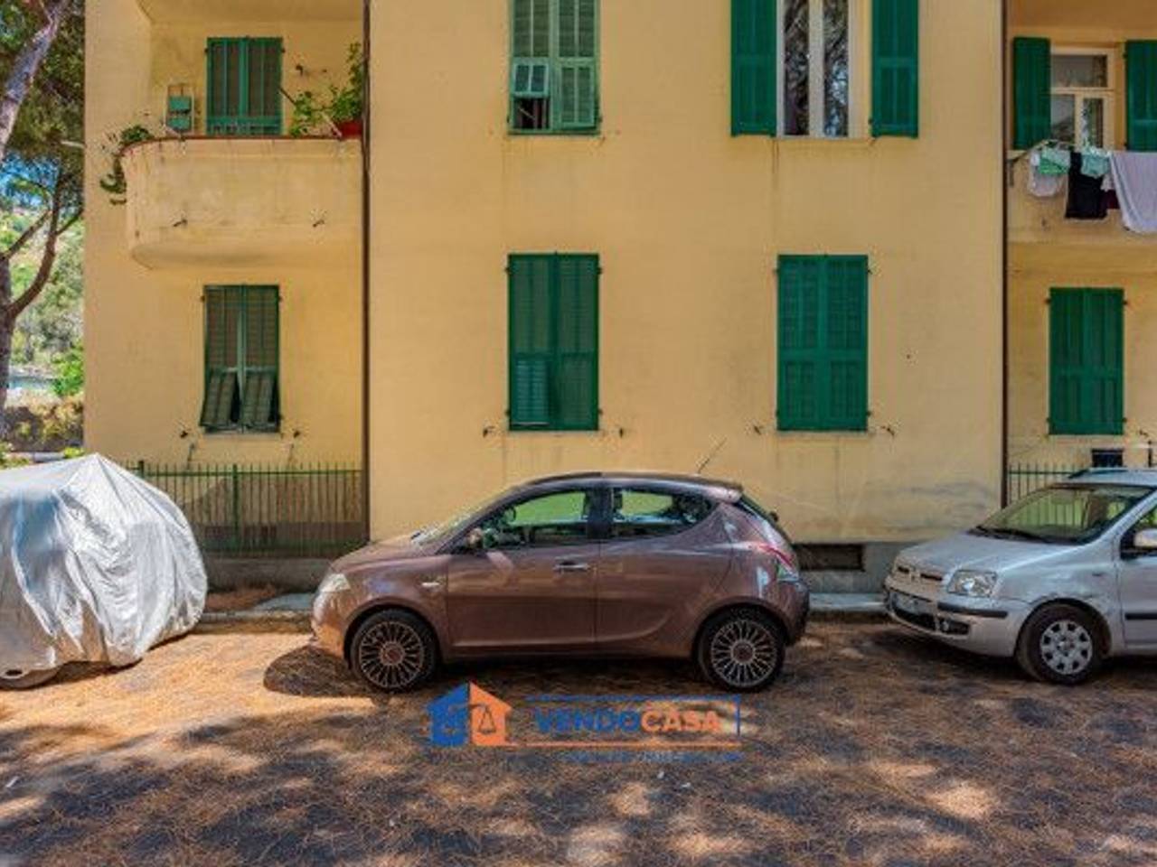 immagine annuncio 14 di 15