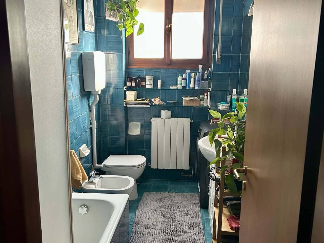 immagine annuncio 10 di 12