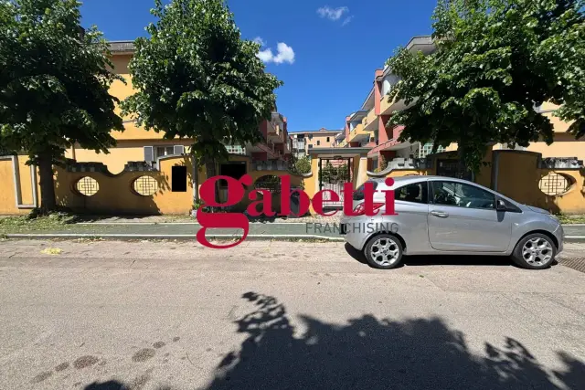 insertion image