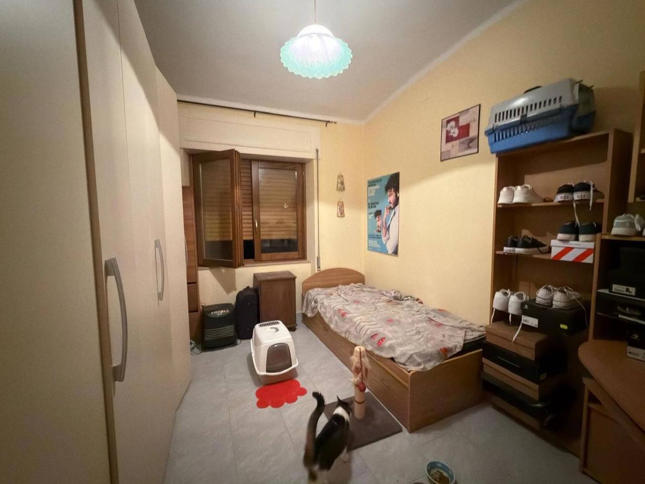 immagine annuncio 6 di 9