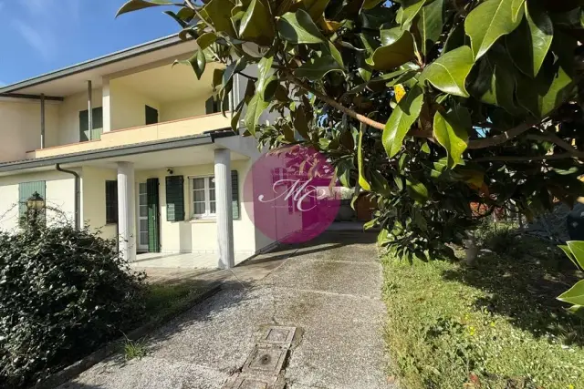 insertion image